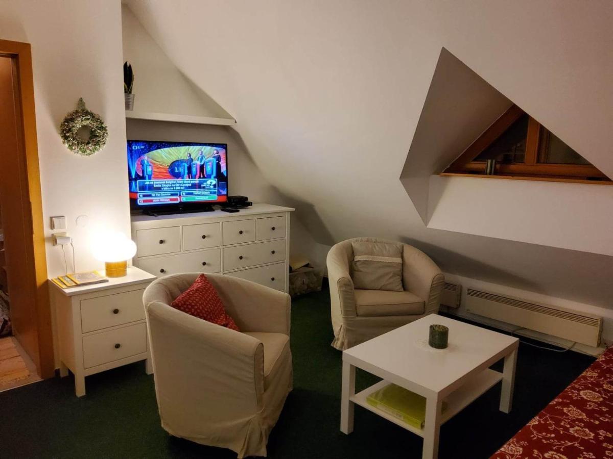Apartman 6 U Sjezdovek Рокицани Экстерьер фото